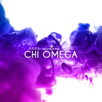 University of Texas Chi Omega logo - Similar company to Careerskills Ai
