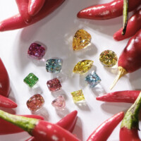 Diamond Love Bond bvba logo - Similar company to Embee Diamonds - Master Diamond Cutters
