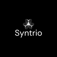 syntrio logo - Similar company to Syntrio