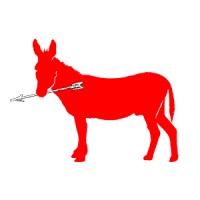 Red Donkey Studio, Llc