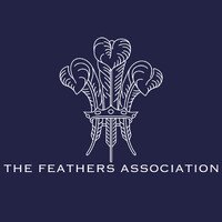 The Feathers Association logo - Similar company to Tickle Community