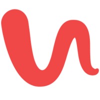 Spiderfrogs logo - Similar company to Sure Solution Tech