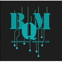 Blomquist Motor AB logo - Similar company to Easyserv