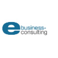 Ebusiness Consulting