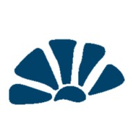 Something New Solutions LLC logo - Similar company to Arrowhead Advising