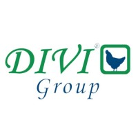DIVI GROUP logo - Similar company to Zyrax Group Inc