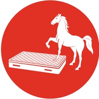 SleepHigh logo - Similar company to Back Care