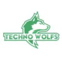 Techno Wolfs Web Solutions logo - Similar company to Freezitech