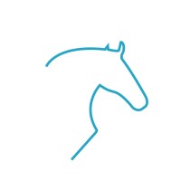 Stallions ERP logo - Similar company to Empower Erp