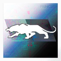 V/A Panthers logo - Similar company to Yields Digital
