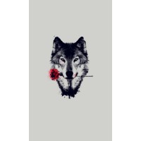 digitalWolf Recruitment Group logo - Similar company to Optima Electrical Training