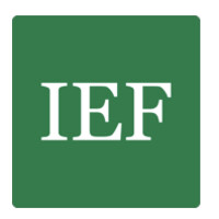 Independent Economics & Finance LLP logo - Similar company to Fas Insights