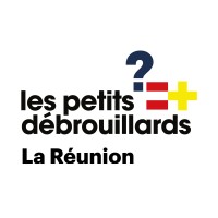 Les Petits Débrouillards de La Réunion logo - Similar company to Cbr (Cannabinoïd Bourbon Research)