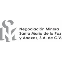 Negociación Minera Santa María de La Paz y Anexas S.A de C.V logo - Similar company to Benebion