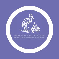 Ίδρυμα Γεωργ. & Αικ. Χατζηκώνστα / Georgios & Aikaterini Chatzikonsta Foundation logo - Similar company to Sikiarideio Foundation