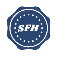 Snow Flint Holidays logo - Similar company to Insta Himachal