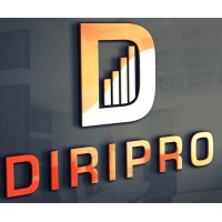 DIRIPRO logo - Similar company to Minestone