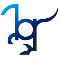 Blue Raptor Spa logo - Similar company to Tft - Flecha Truck