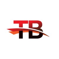 Tech Blitz logo - Similar company to Tech Blitz Solutions