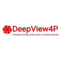 DeepView4P