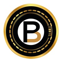 Black Pound Coin DAO logo - Similar company to Intuitive Talent