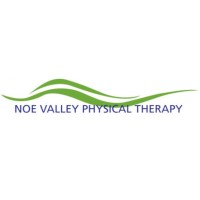 Noe Valley Physical Therapy logo - Similar company to Chickadee Speech Therapy