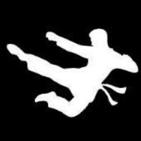 The Warrior Academy logo - Similar company to Dubai Hurricanes