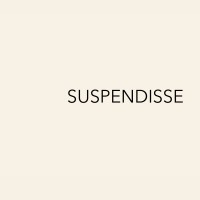 SUSPENDISSE logo - Similar company to Kiddo™ Studio