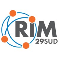 RIM29 SUD logo - Similar company to Vidi - Radyon