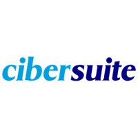 Cibersuite Networks, S.A. logo - Similar company to Virten It