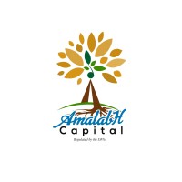 Amalabh Capital Limited logo - Similar company to Ud Group