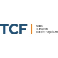 Tcf Non - Bank Credit Organization