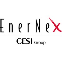 EnerNex logo - Similar company to Kema Labs