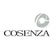 Cosenza Consultoria Ltda logo - Similar company to Wca Contabilidade E Assessoria