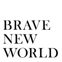 Brave New World Group logo - Similar company to Ftp Group Ltd
