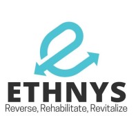 Ethnys Foundation logo - Similar company to Finserve Solutions