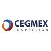 CEGMEX INSPECCION S.A. DE C.V. logo - Similar company to Instalaciones Elemsa