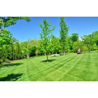 Budget Lawn Care & Services logo - Similar company to A