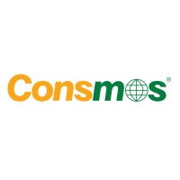 Linyi Consmos Wood Group Co.,Ltd. logo - Similar company to Consmos Building Materials Group