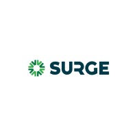 Surge Ambiental logo - Similar company to Amie Consulting
