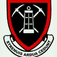 Dundee High School logo - Similar company to Mbube Security Central