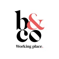 Bureaux And Co logo - Similar company to Baya Axess