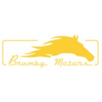 BRUMBY MOTORS (Pacific Automotive Services) Pty Ltd logo - Similar company to National Assessing & Engineering Pty Ltd