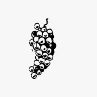 The Wine Project (Jordan) logo - Similar company to Cantina