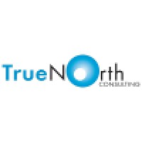 TrueNorth Consulting AS logo - Similar company to Mylearnview