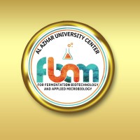 Ferm - BAM Center logo - Similar company to Infosprint