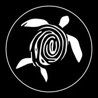 Human Conet logo - Similar company to Human Connect