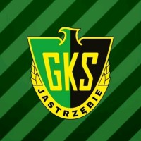 GKS Jastrzębie logo - Similar company to Pays De Gex Fc