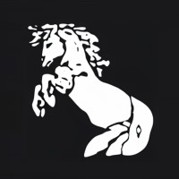 Rozz Advisors logo - Similar company to Portfolio Doc