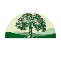 Mountain Youth Academy logo - Similar company to Monane Group Clinical Consulting